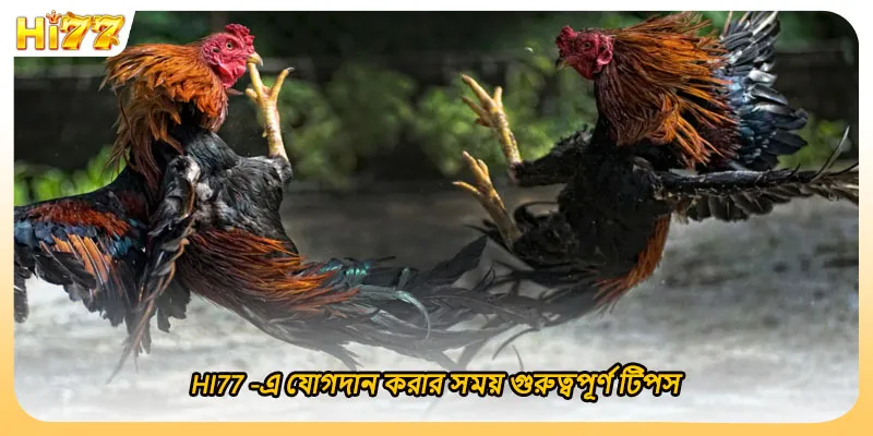 (ছবি: HI77 -এ যোগদান করার সময় গুরুত্বপূর্ণ টিপস)